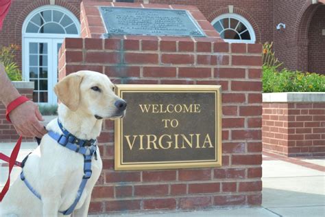 pet friendly hotels danville va